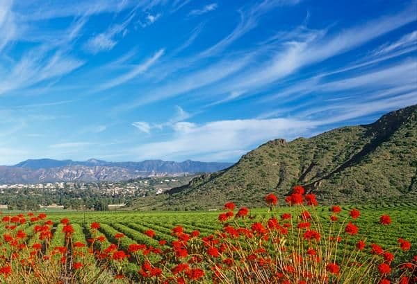 Camarillo, California